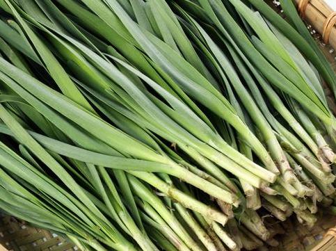 吃不完的韭菜不要直接放冰箱,教你3个土方法,半个月依旧新鲜