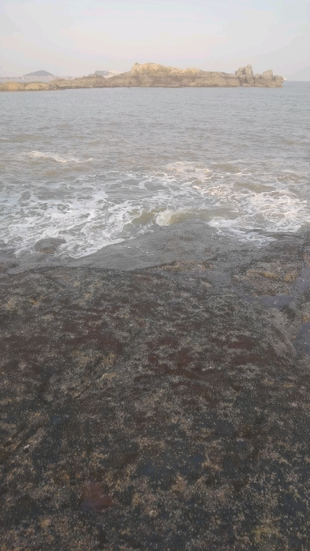 蓝海咯,快来快来