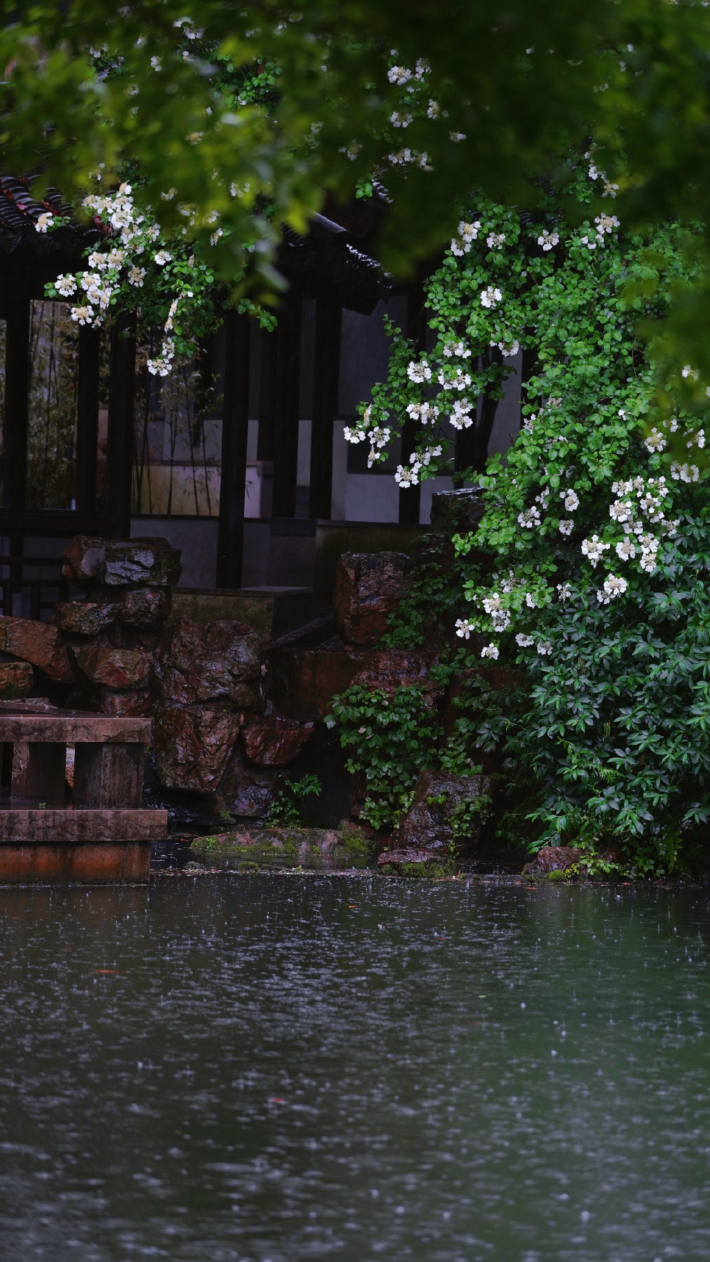 一场春雨就这样:"随风潜入夜,润物细无声"