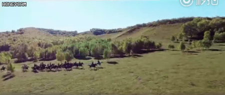 霍建华窦骁吴磊杨洋陈伟霆任嘉伦胡歌曾舜晞朱一龙肖战成毅龚俊钟汉良