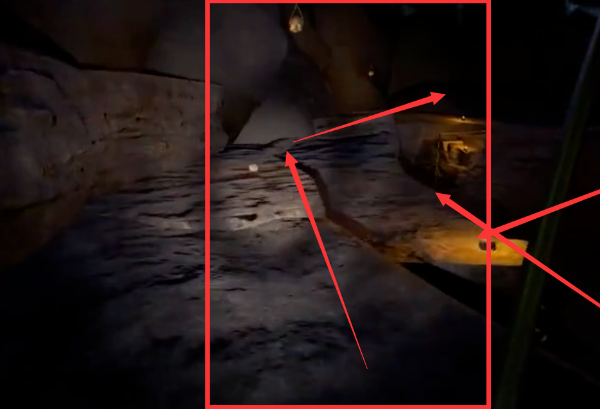 森林现代弓在哪?