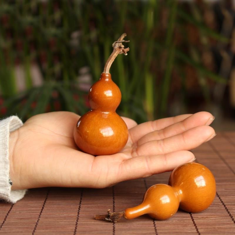 盆栽"小葫芦",一盆能结几十个,福禄满阳台,越小越值钱