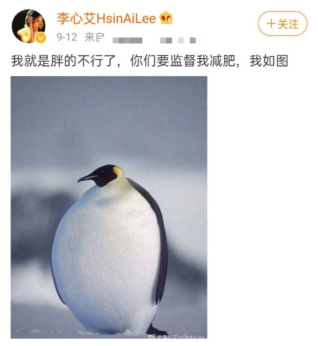 李心艾被嘲胖成肥婆?怒减肥效果明显,不到一周颜值回春变瓜子脸