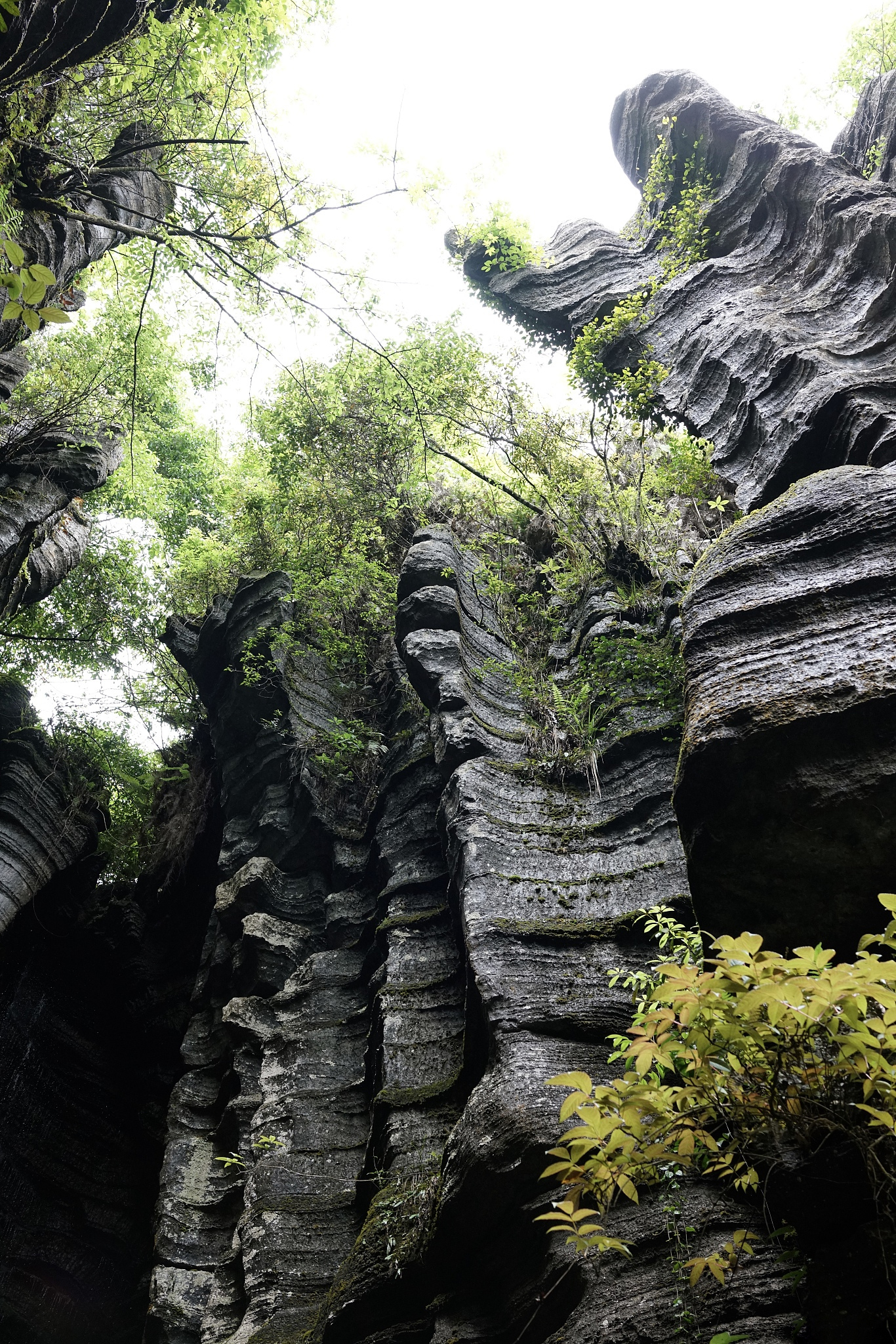 大自然鬼斧神工风景图片