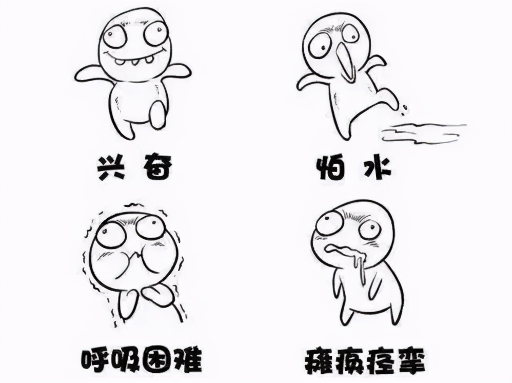 狂犬病预防二三事儿