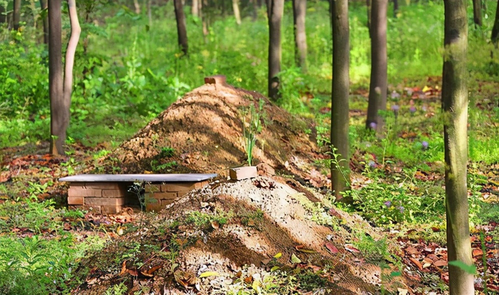 农村土葬改火葬节约土地?农民反驳提出疑问,让专家无言以对