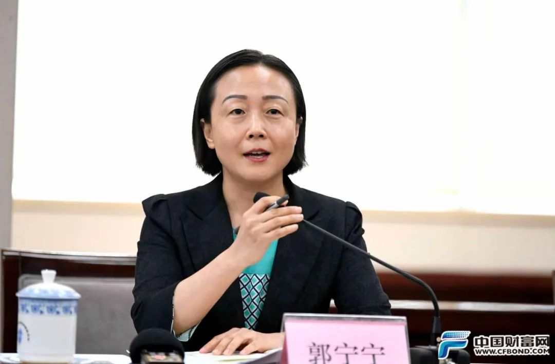 各省现任的一些有关金融经历的副省长(上篇)