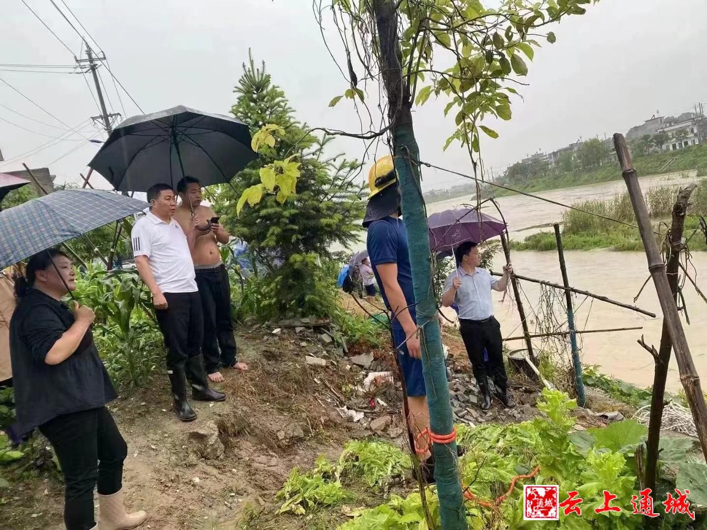 通城县隽水镇柳峦村党支部书记吴杰:洪水中的牵牛倌