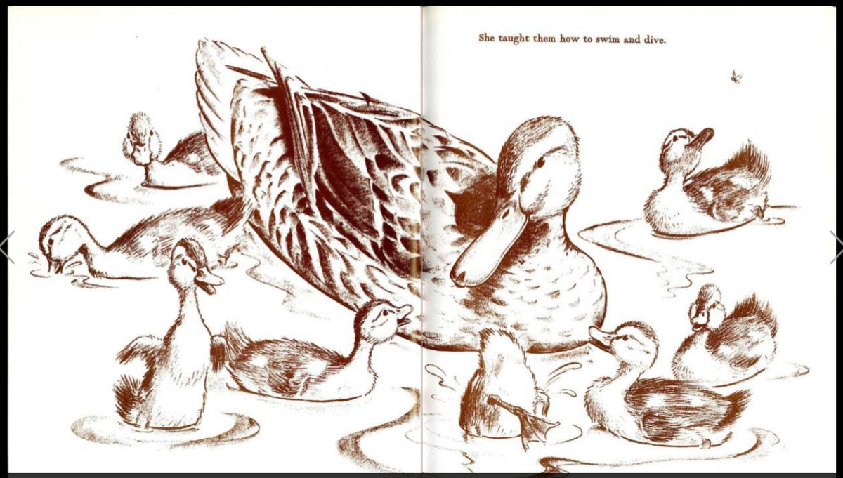 《让路给小鸭子》人与自然和谐共生,小朋友们热爱自然,尊重生命