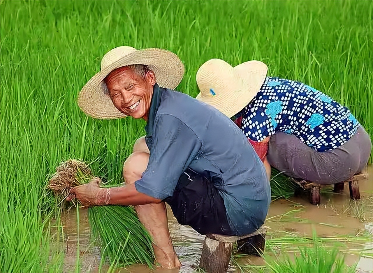 老农民种地图片高清图片