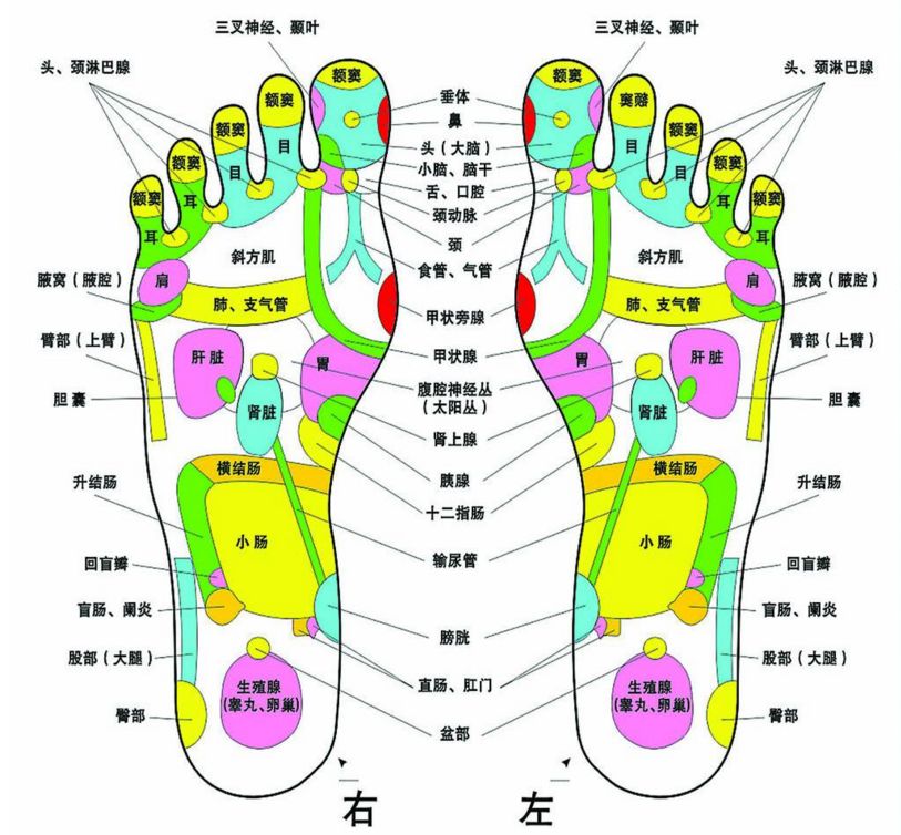 脚为什么是"第二心脏"