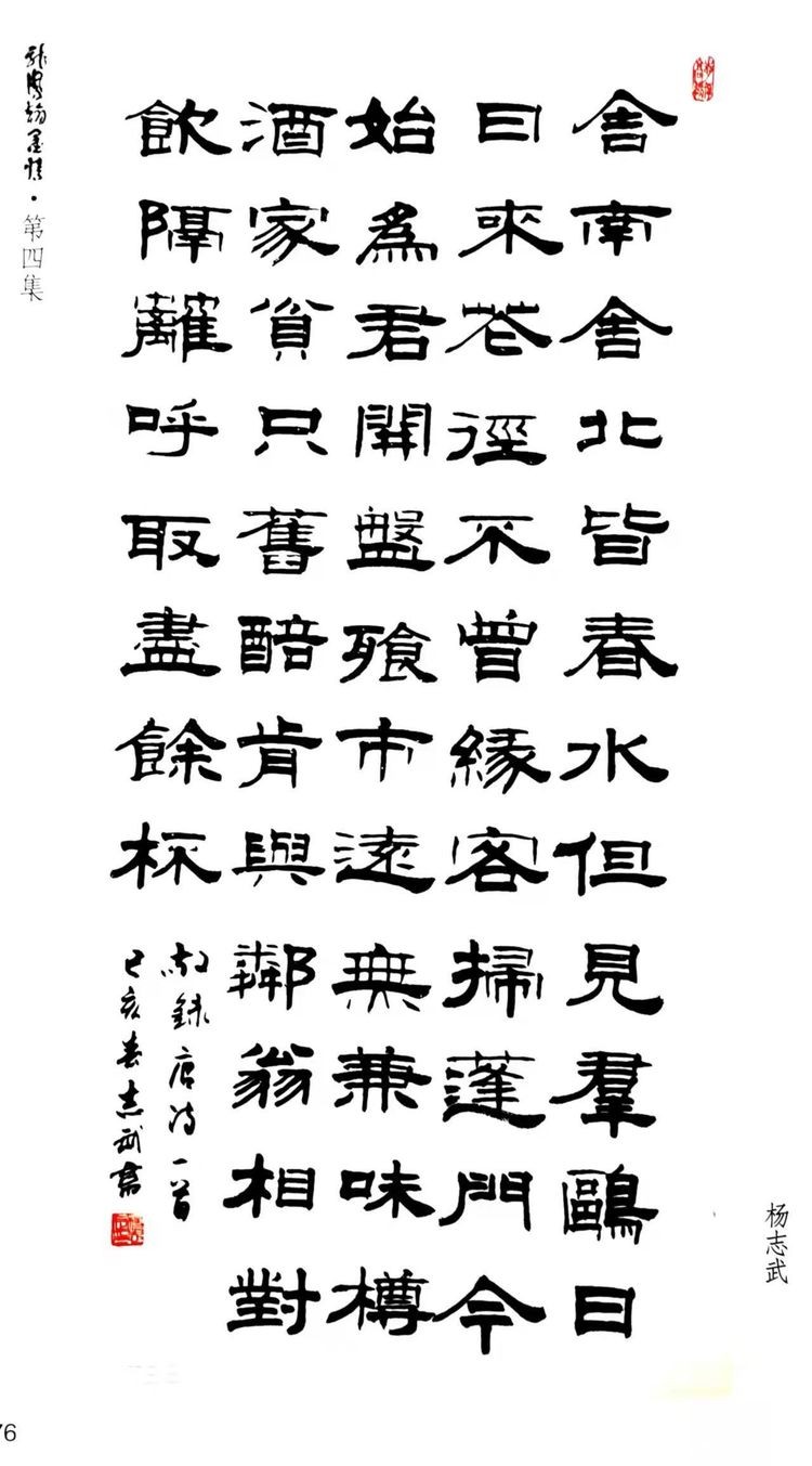 书法家杨志武先生