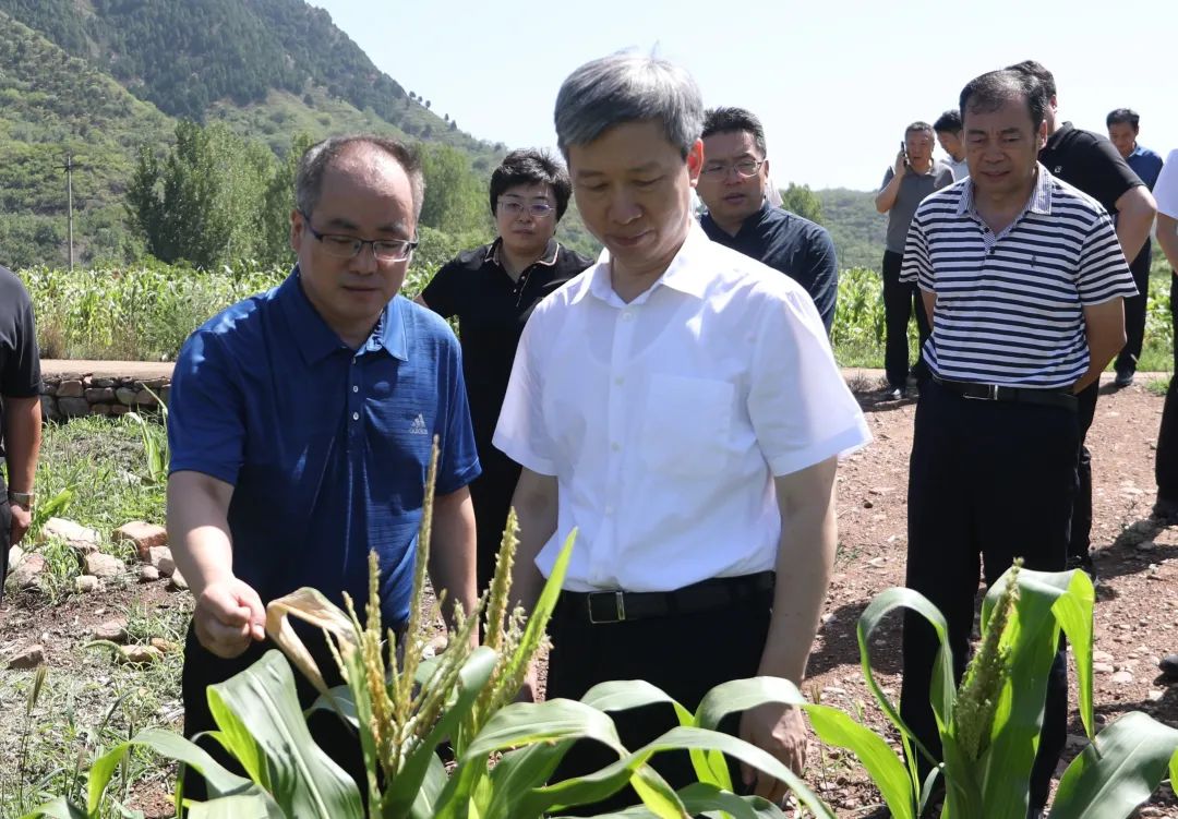 余卫国带队检查农村供水,粮食受旱减产应对工作