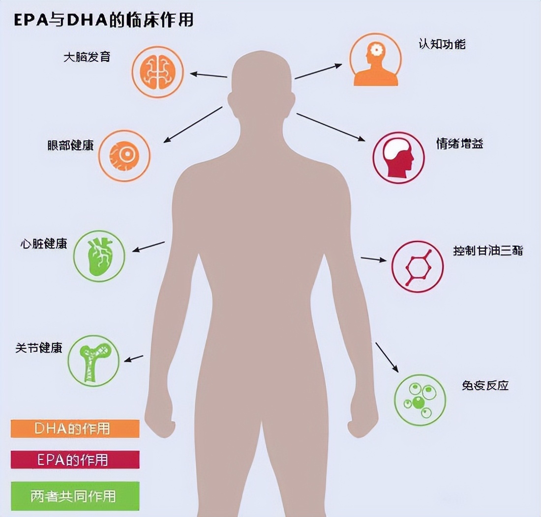 多吃omega-3,不仅对孕妈好,还能帮助解决失眠