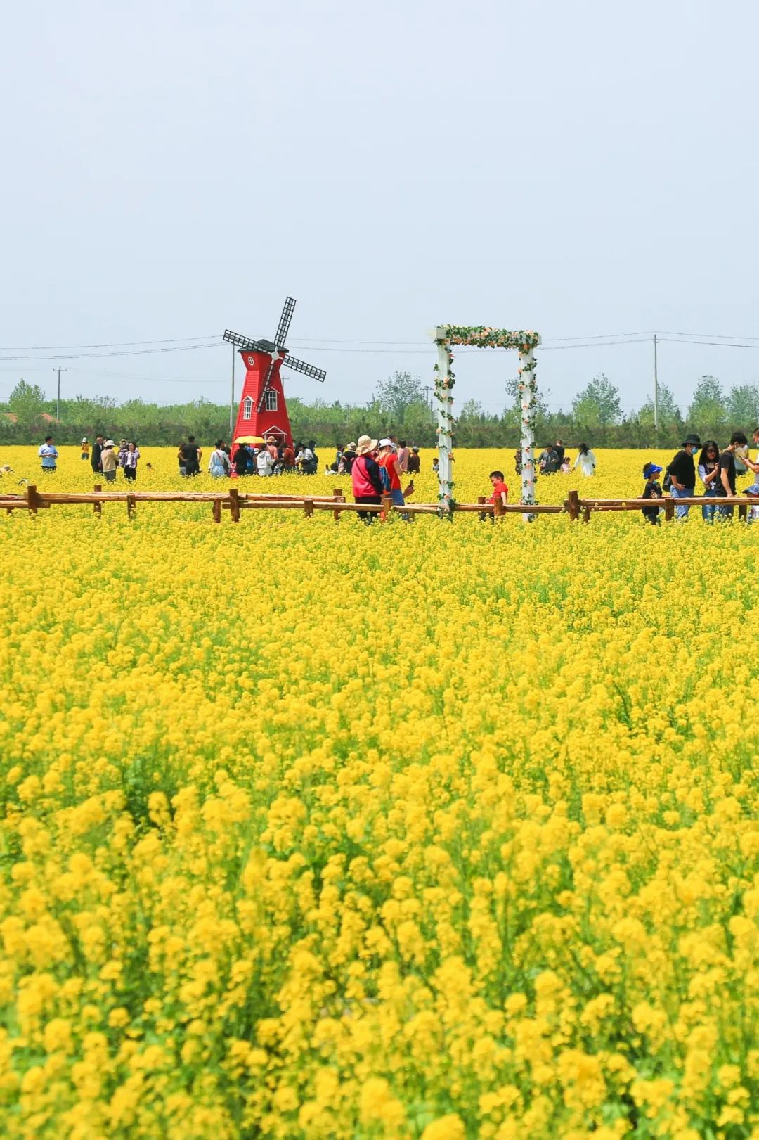 疫情难掩芳华,你负责宅在家,我带你"云赏花"