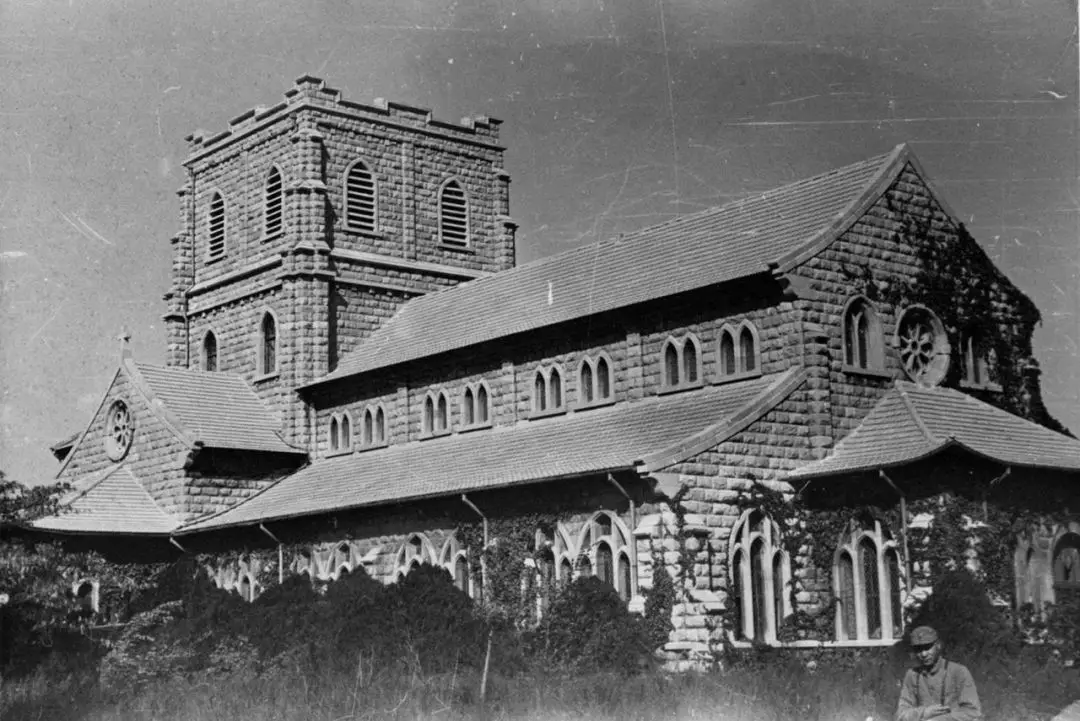 一组老照片,领略齐鲁大学的芳华