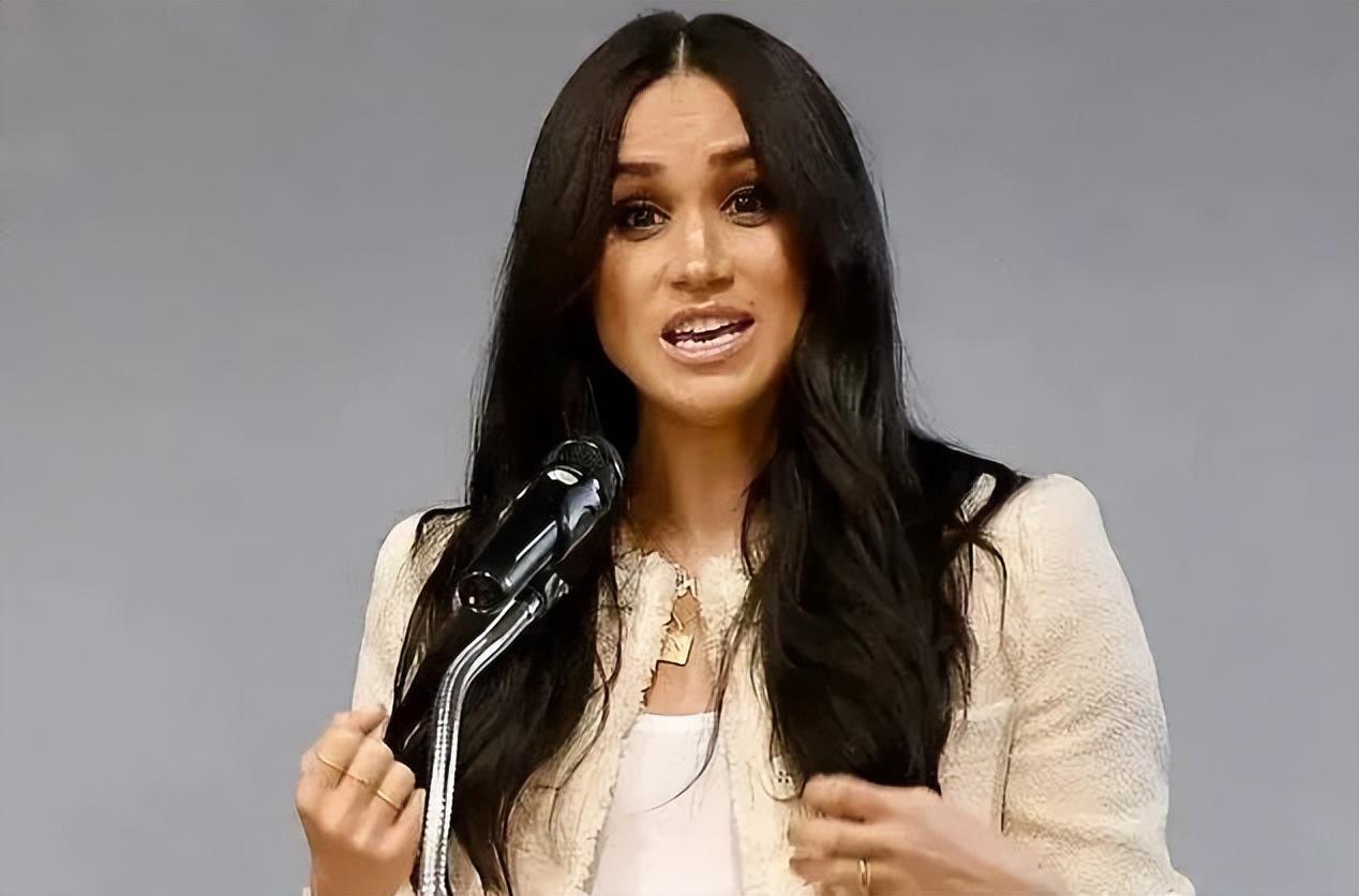 真相了原来梅根的终极目标是美国总统哈里王子将沦为炮灰