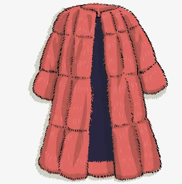 【能力作风建设年】 貂皮大衣pk房产证?法官这样做!