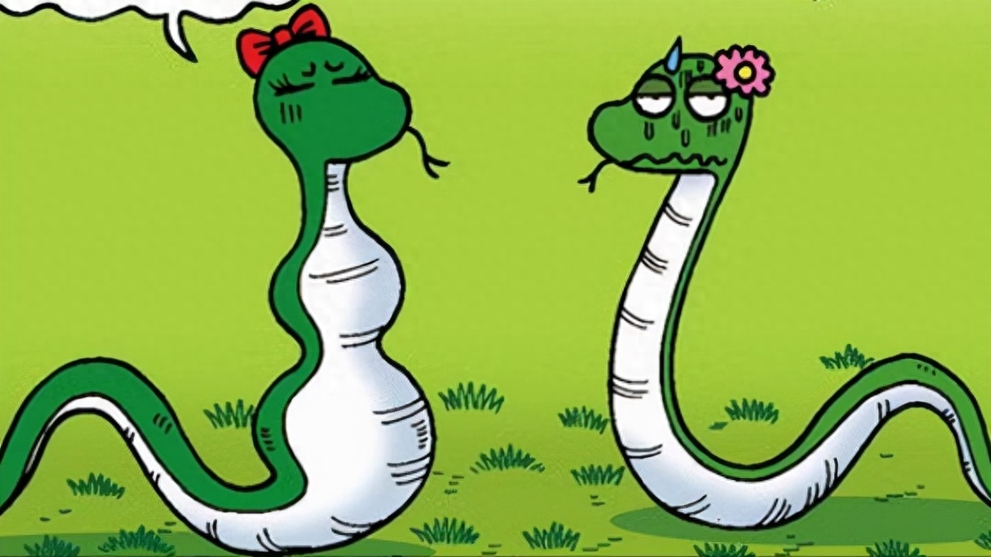 回顾黑龙江一女子与蛇群同居了15年蛇不攻击她还和她睡一张床