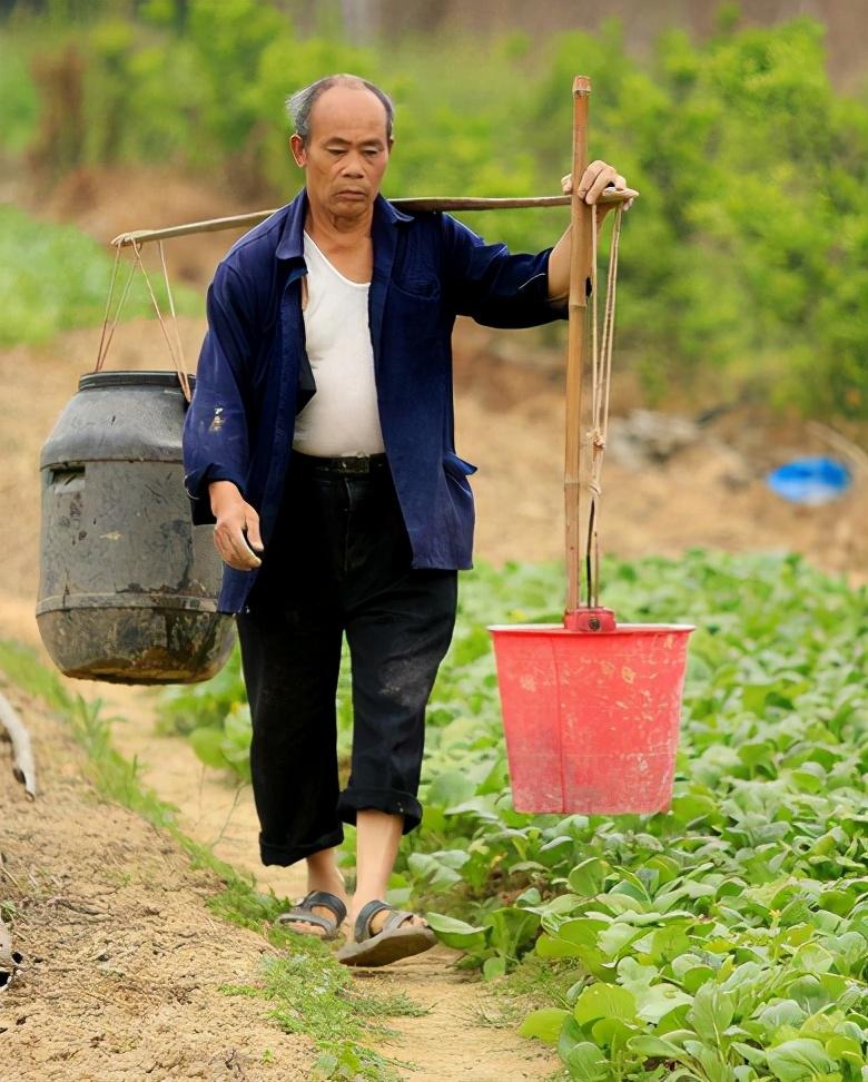未来农村这三类人,无论多么努力,都很贫穷,每个村子都有