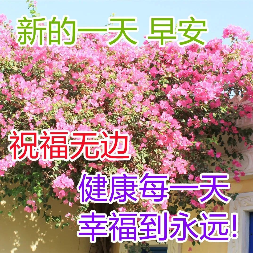 漂亮的美女早上好問候圖片表情,早安問候祝福語短信