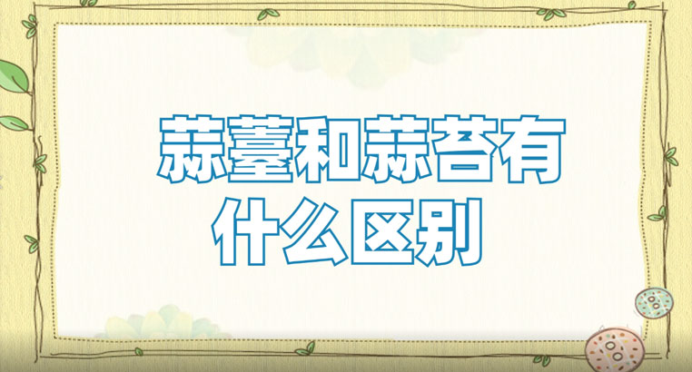 蒜薹和蒜苔的区别是什么?蒜苔的功效与作用