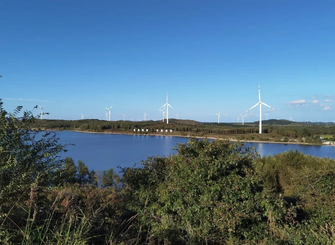 人民日报点赞彰武!