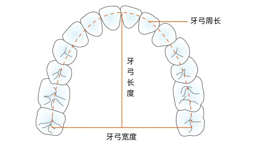 整牙一定要拔牙吗?真相是