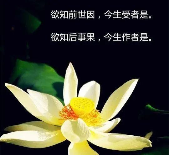 因果报应真实不虚:小三家族的邪淫血泪史