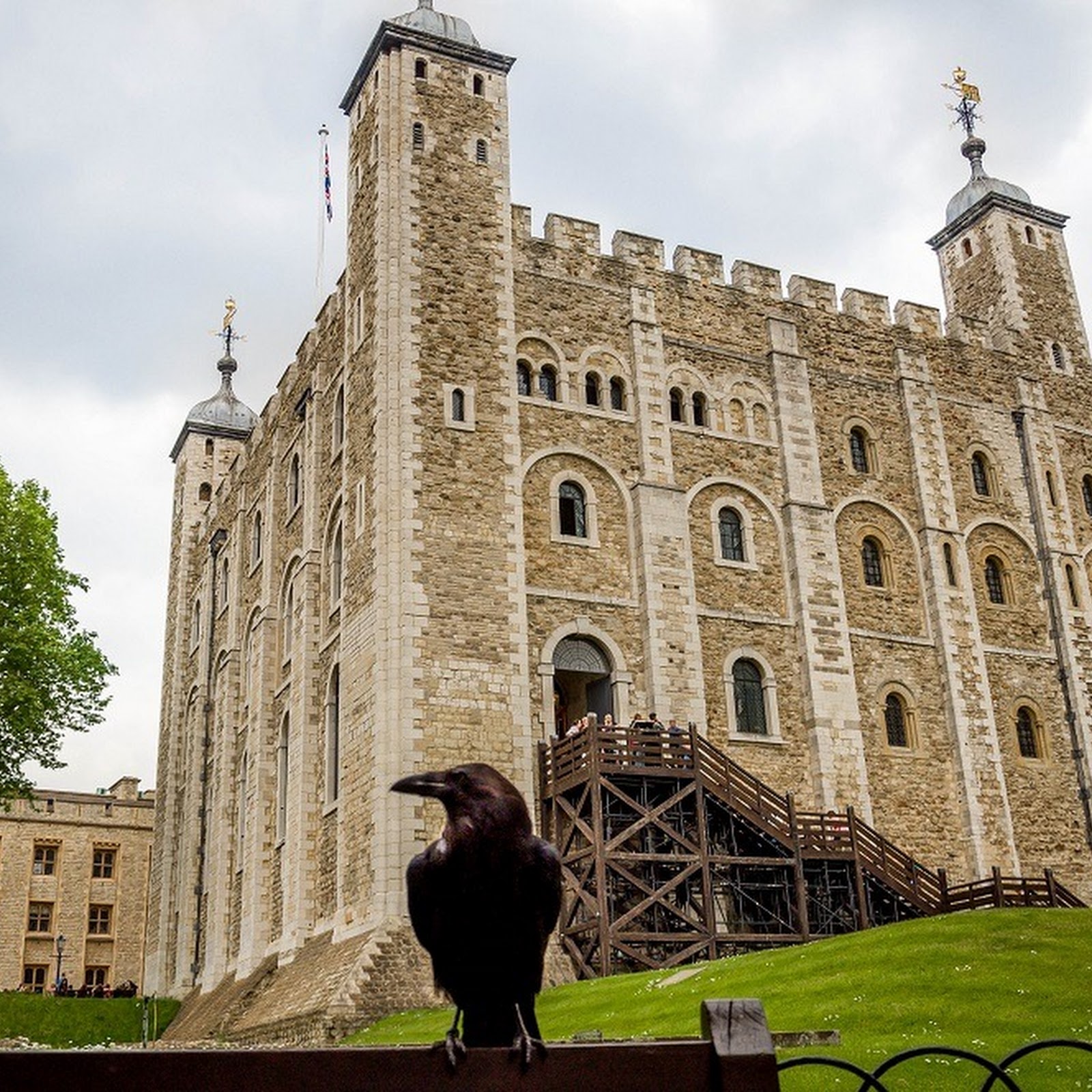 英国人也迷信吗,为何去英国的游客参观伦敦塔最想看到的是渡鸦?