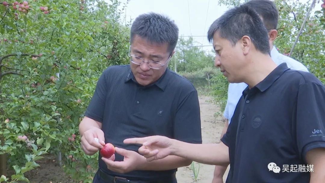 吴起县委书记张宏江深入吴起街道,吴仓堡镇调研指导农业农村工作