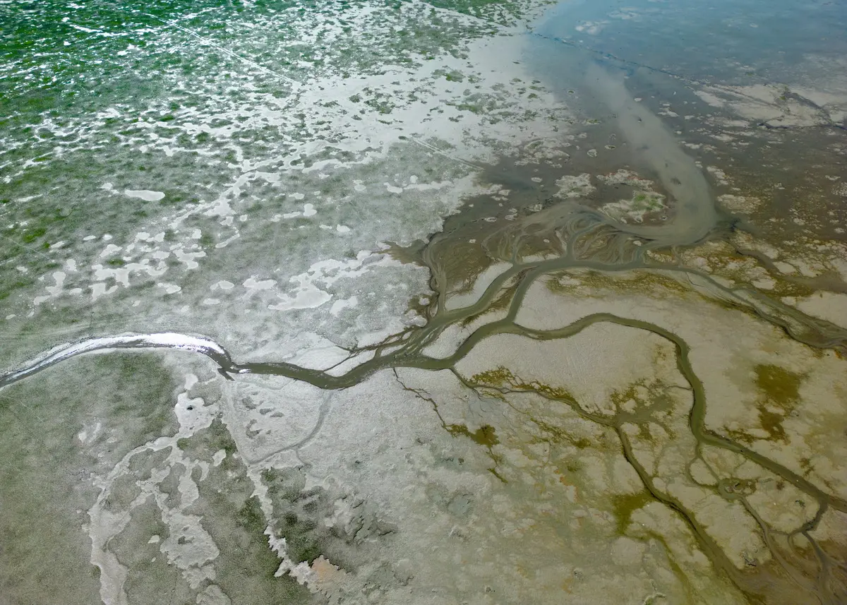 鄱阳湖湖底图片