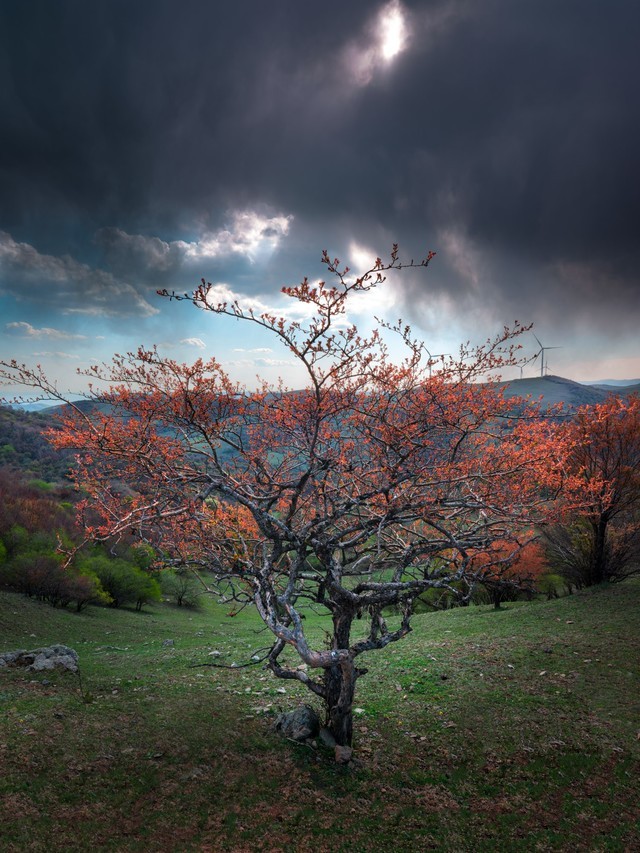 富士gfx50s ii中画幅相机眼中大美风光