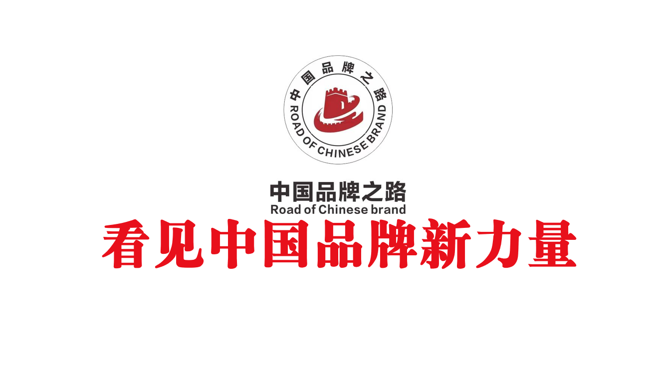 中国品牌之路-蒂花之秀,从"青春好朋友"到家居好帮手