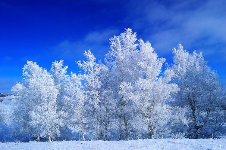 冬季坝上草原银装素裹,一片塞外冰雪世界