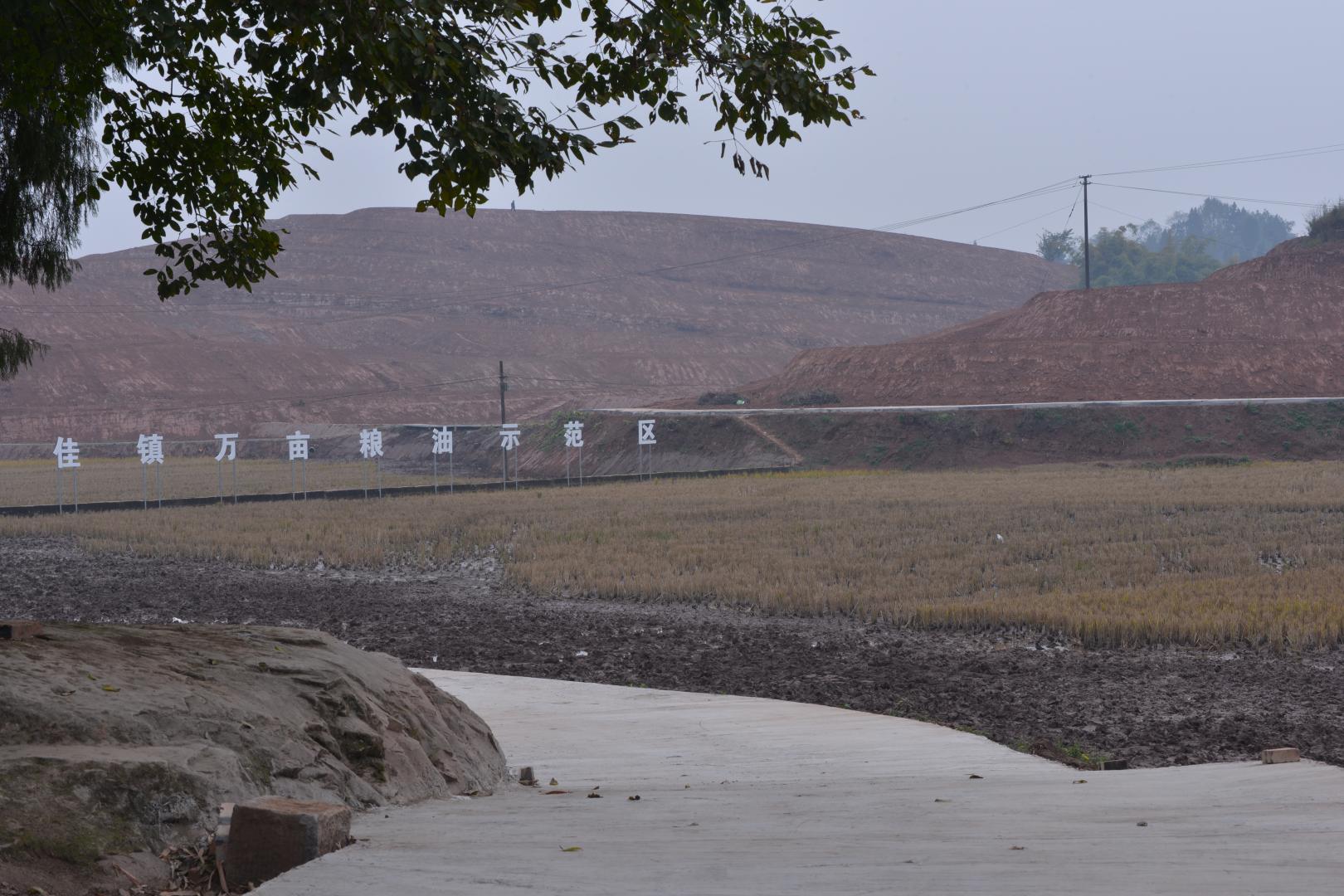 问答千年盐都|荣县东佳镇:"翻身"提标,让8000亩粮田变良田