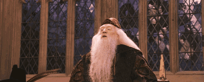 哈利·波特先生,好久不见