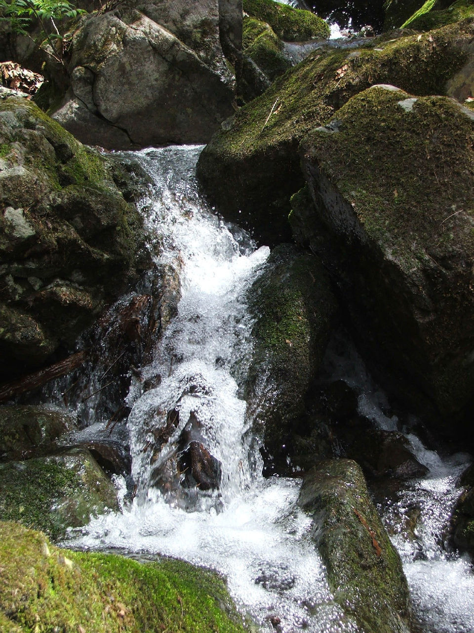 青山沟旅游景点介绍图片