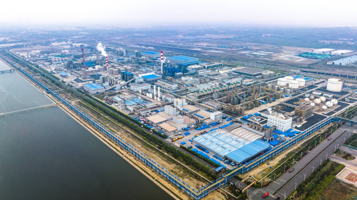 董家口经济区:攀高逐新,"重要一极"加力向前