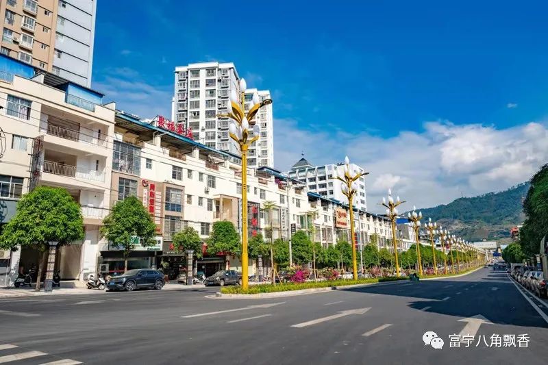 《县城一角》李亚国/摄《壮美母亲河》程顺荣/摄(富宁县摄影家协会