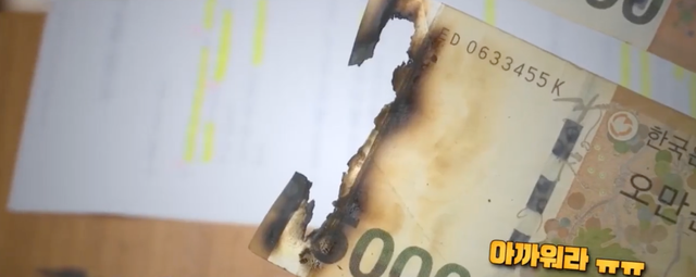 热点|上半年，韩国废弃受损的纸币金额超22亿美元！有人为防病毒用微波炉烤钱