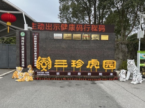 开领界和闺蜜开启 三珍虎园奇幻之旅