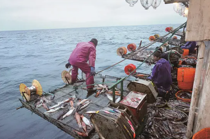 恐怖渔船鲁荣渔2682号:33人出海22人死亡,真实版太平洋大逃杀