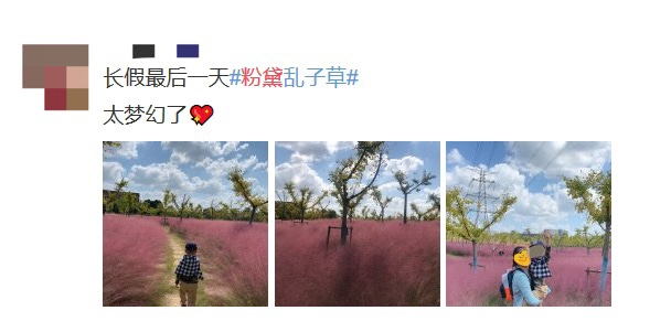 热点|“进入花田你没有花美！”景区一段硬核喊话爆火，网友：你大妈还是你大妈