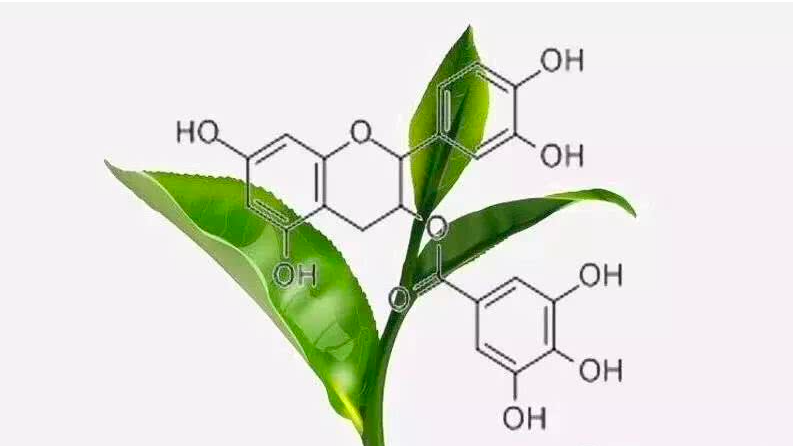 保溫杯泡茶成毒茶,有毒且致癌?究竟能不能喝?央視實驗揭曉真相