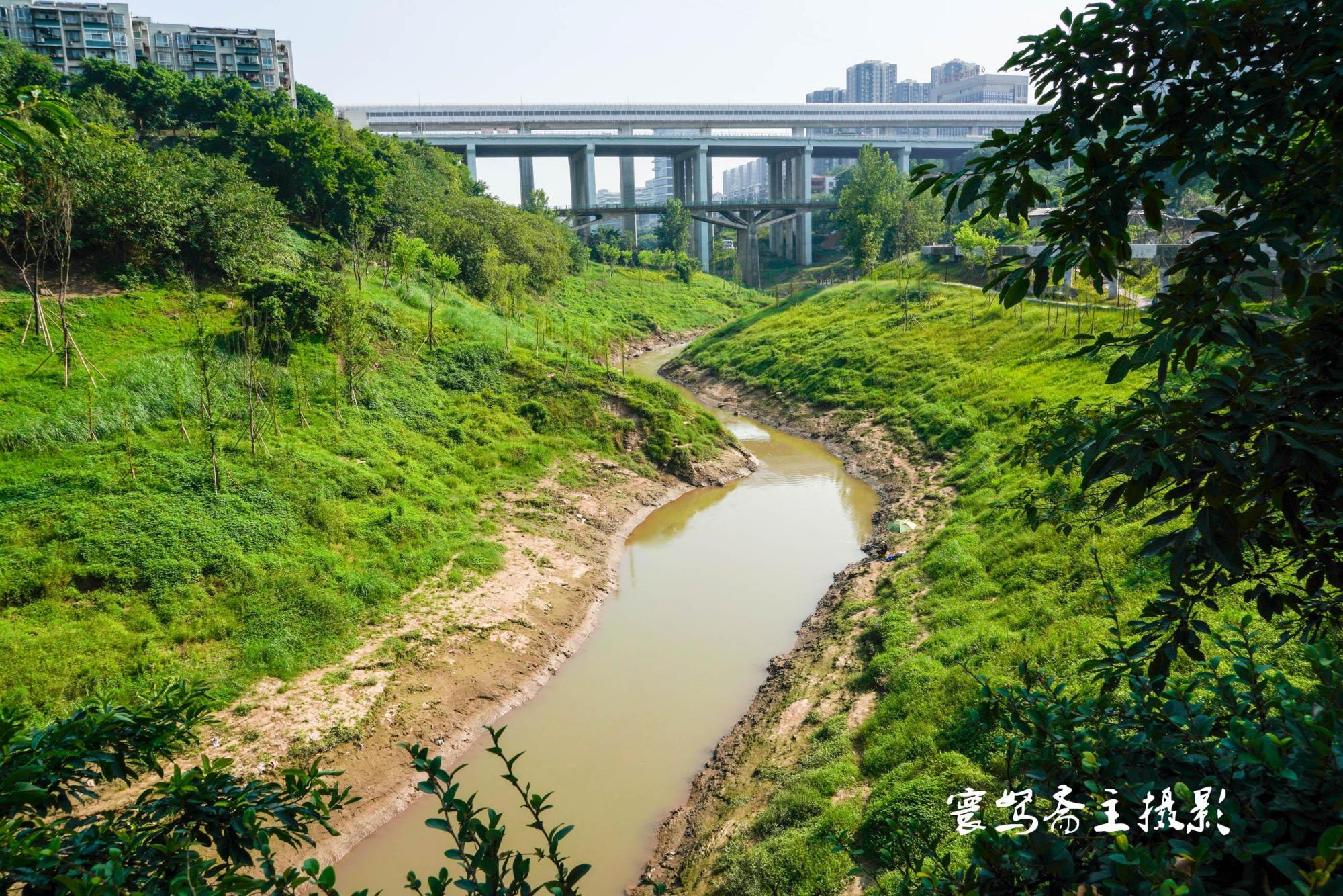 伏天来寸滩老街走走喝杯盖碗茶再尝尝烟火气十足的小炒牛肉丝