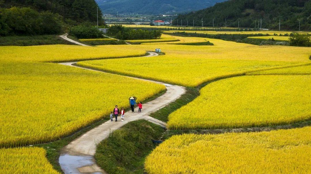 韩国庆尚北道,首尔市道峰区,首尔市瑞草区——2022服贸会"一带一路"