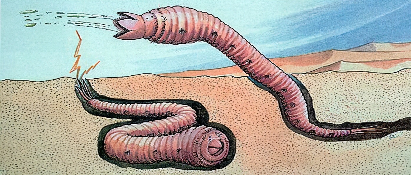 远古蠕虫图片