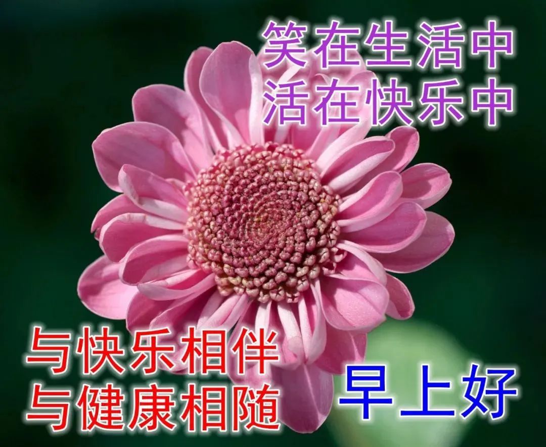 非常漂亮早安问候图片带字温馨,早晨问候语图片表情