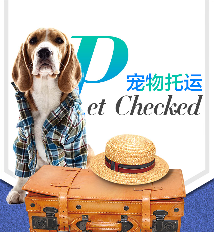 言语宠物托运的托运方式